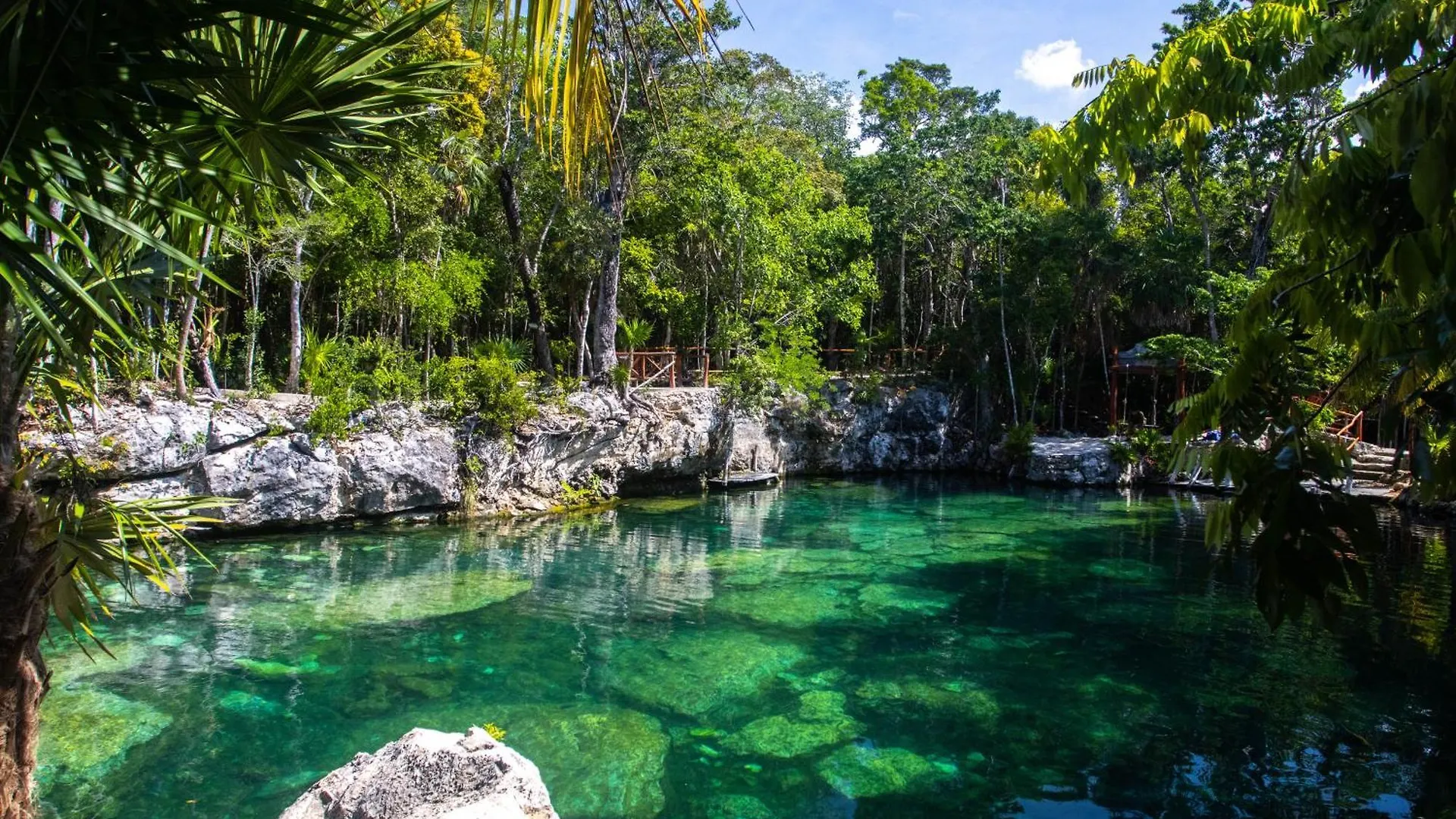 Hotel Casa Tortuga Tulum - Cenotes Park Inclusive